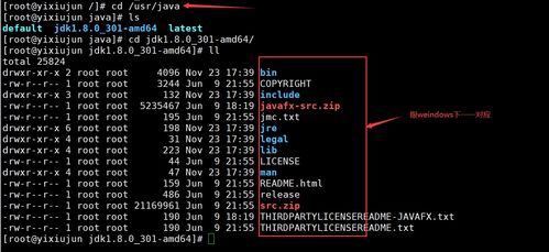 Linux系列（六） 手動(dòng)命令安裝軟件與服務(wù)器基本環(huán)境搭建